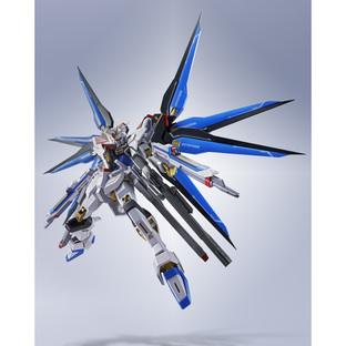 Metal Robot Spirits Strike Freedom Gundam Type Gundam Premium