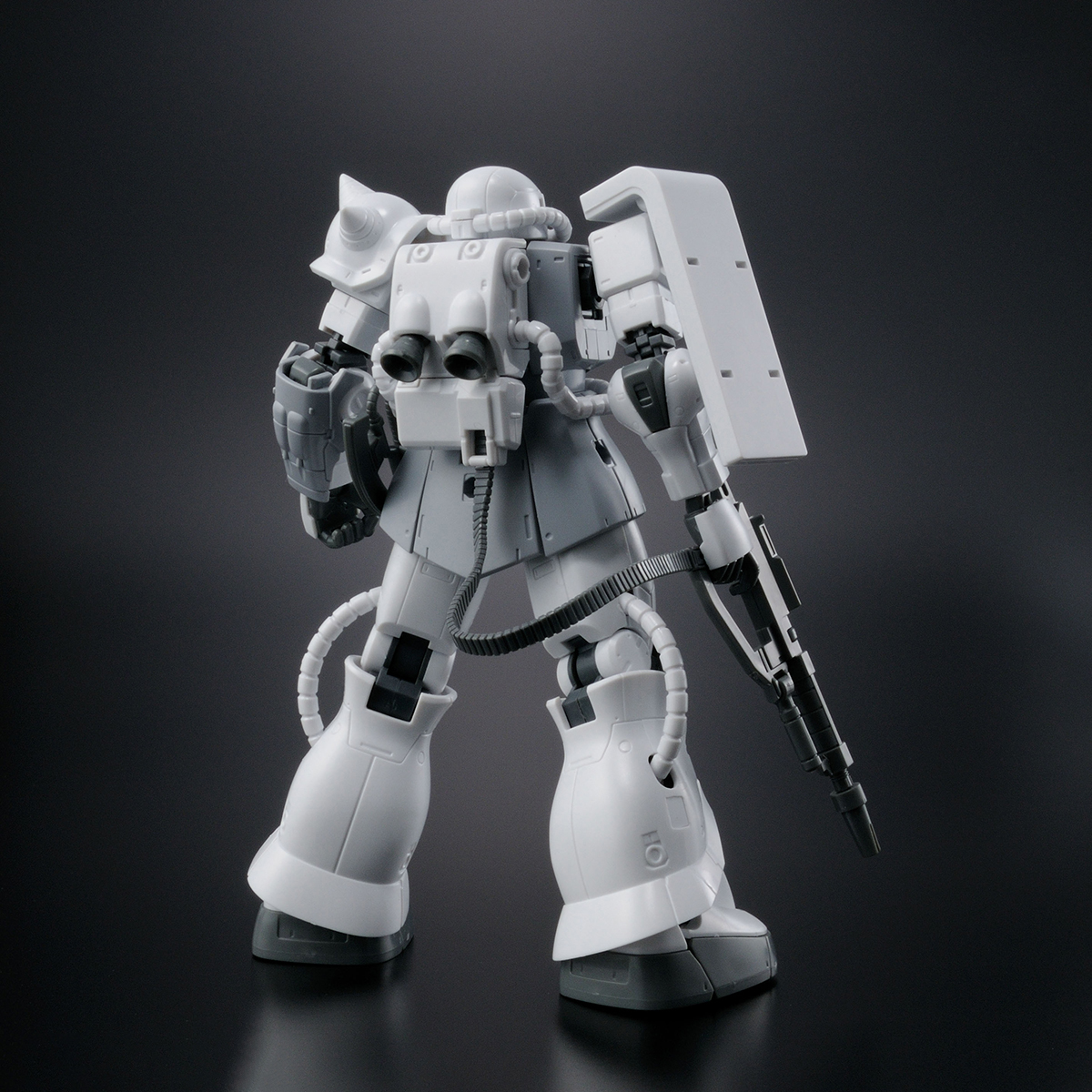 Hg The Gundam Base Limited Ms C R Zaku Type C R Painting