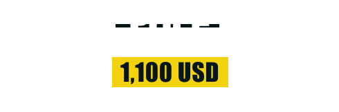 USD 1,100