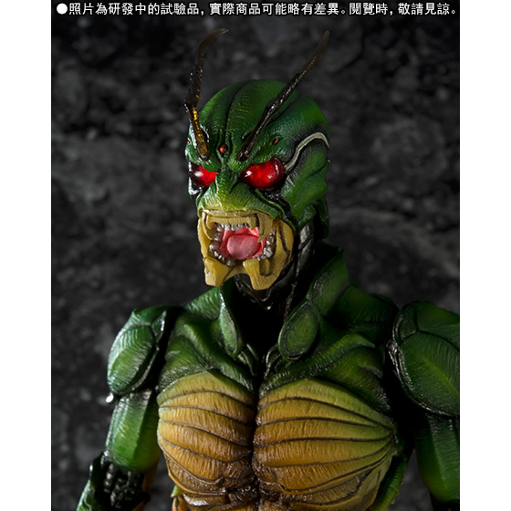 S.I.C. Masked Rider SHIN | Kamen Rider | PREMIUM BANDAI Hong Kong