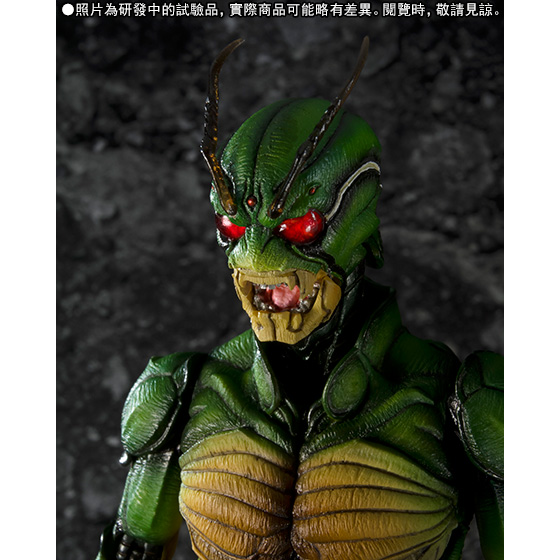 S.I.C. Masked Rider SHIN | Kamen Rider | PREMIUM BANDAI Taiwan
