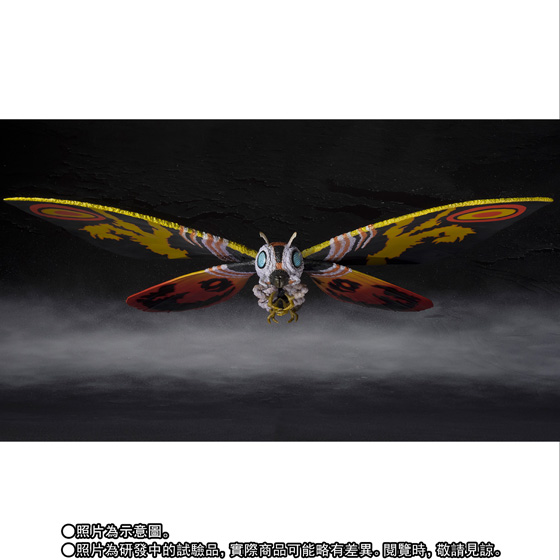 S.H.MonsterArts MOTHRA（Adult form）& MOTHRA（Larval form
