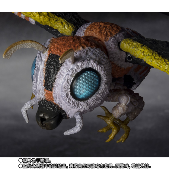 S.H.MonsterArts MOTHRA（Adult form）& MOTHRA（Larval form