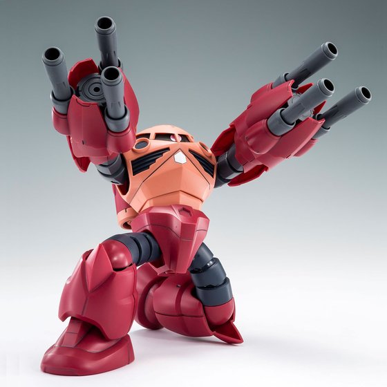 HG 1/144 AMAZING Z'GOK [Feb 2025 Delivery] | GUNDAM