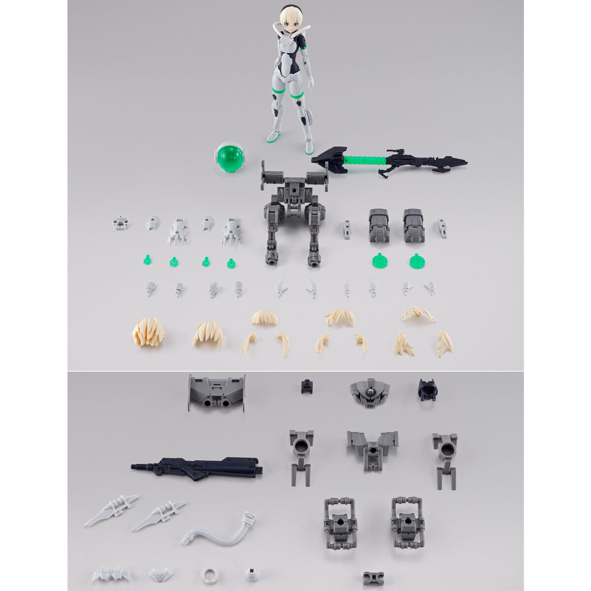 30MS SIS-Gc11w STIPLA-STEROY(ARDITO FORM) [2024年1月發送] | 30