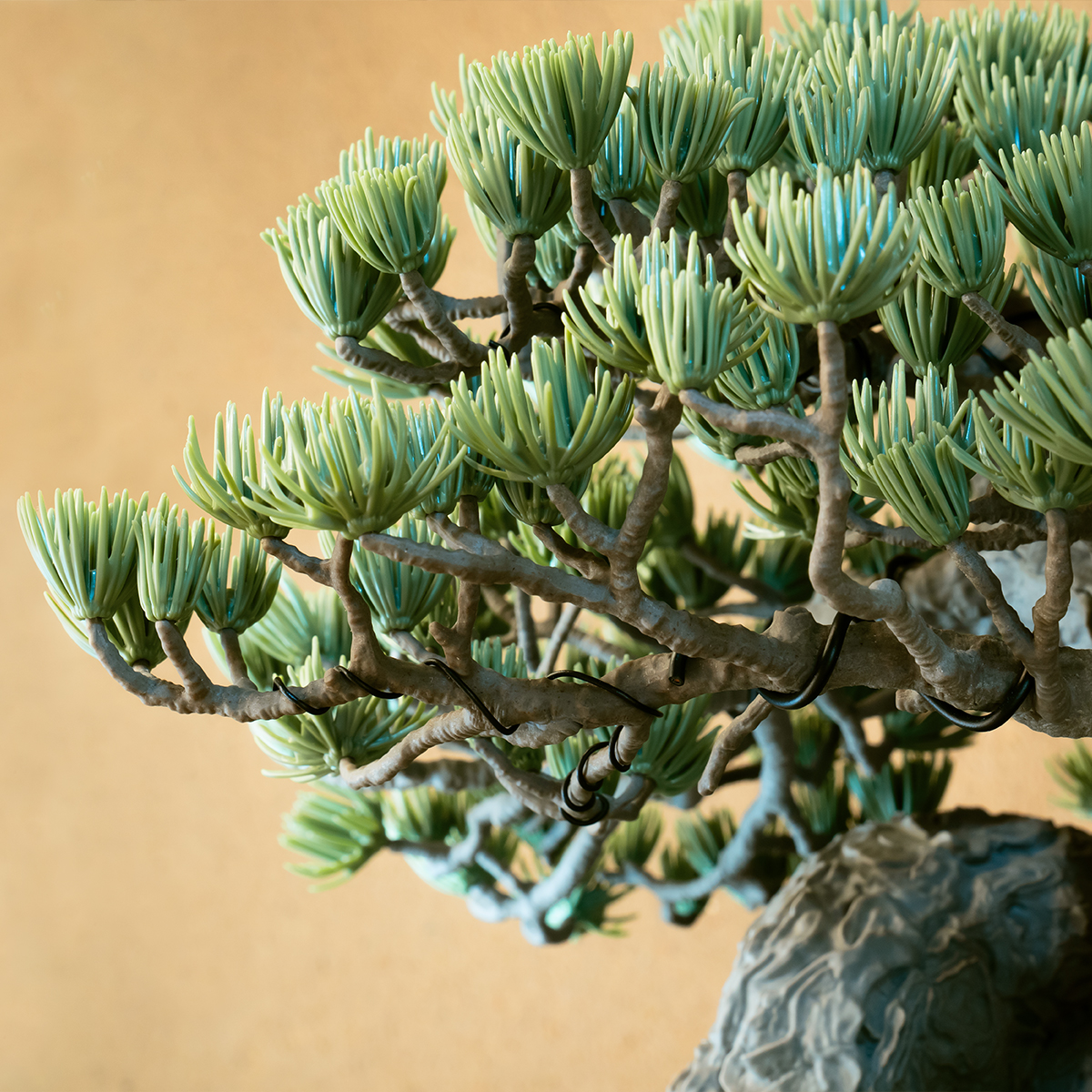 SRL×BANDAI SPIRITS BONSAI MODEL KIT b2864a36-274e-4a23-81cc-