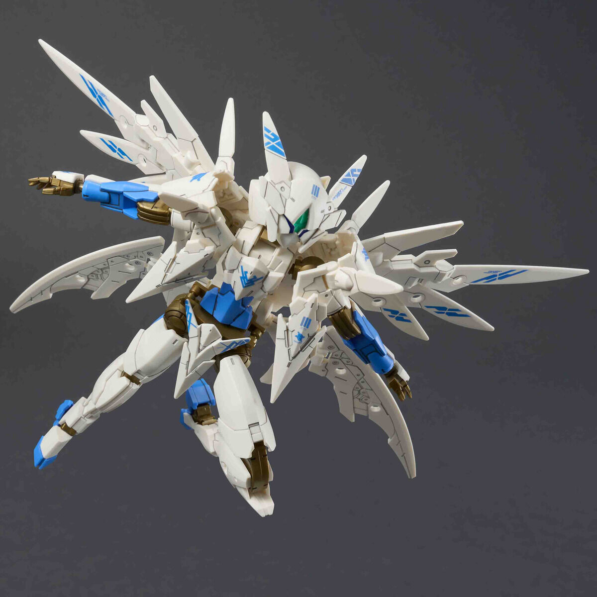 saqina ラエヴァ SAQINA RAEVA