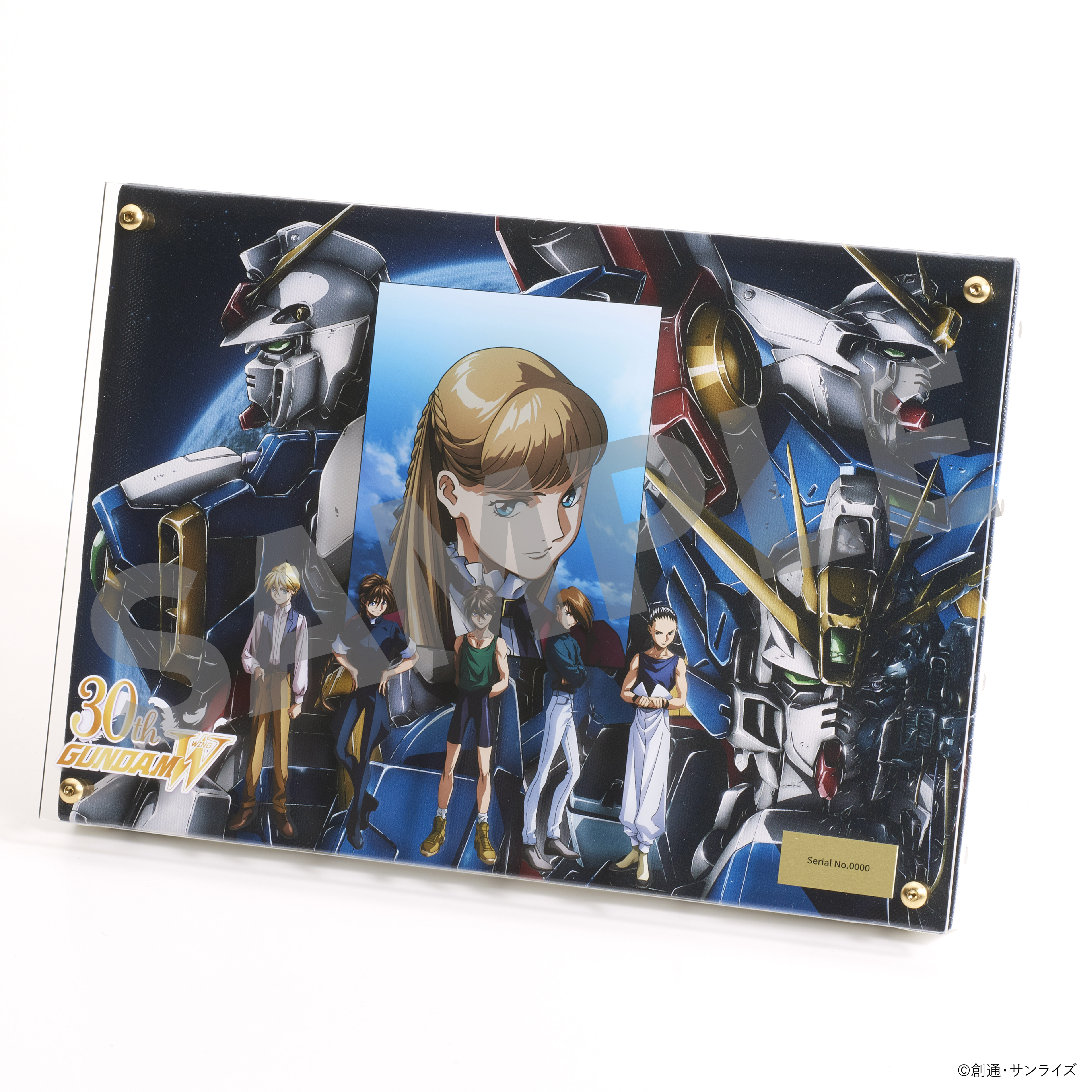 GUNDAM-W 、ENDLESS WALTZ　ＬDセット GUNDAM-W ENDLESS WALTZ LD - メルカリ