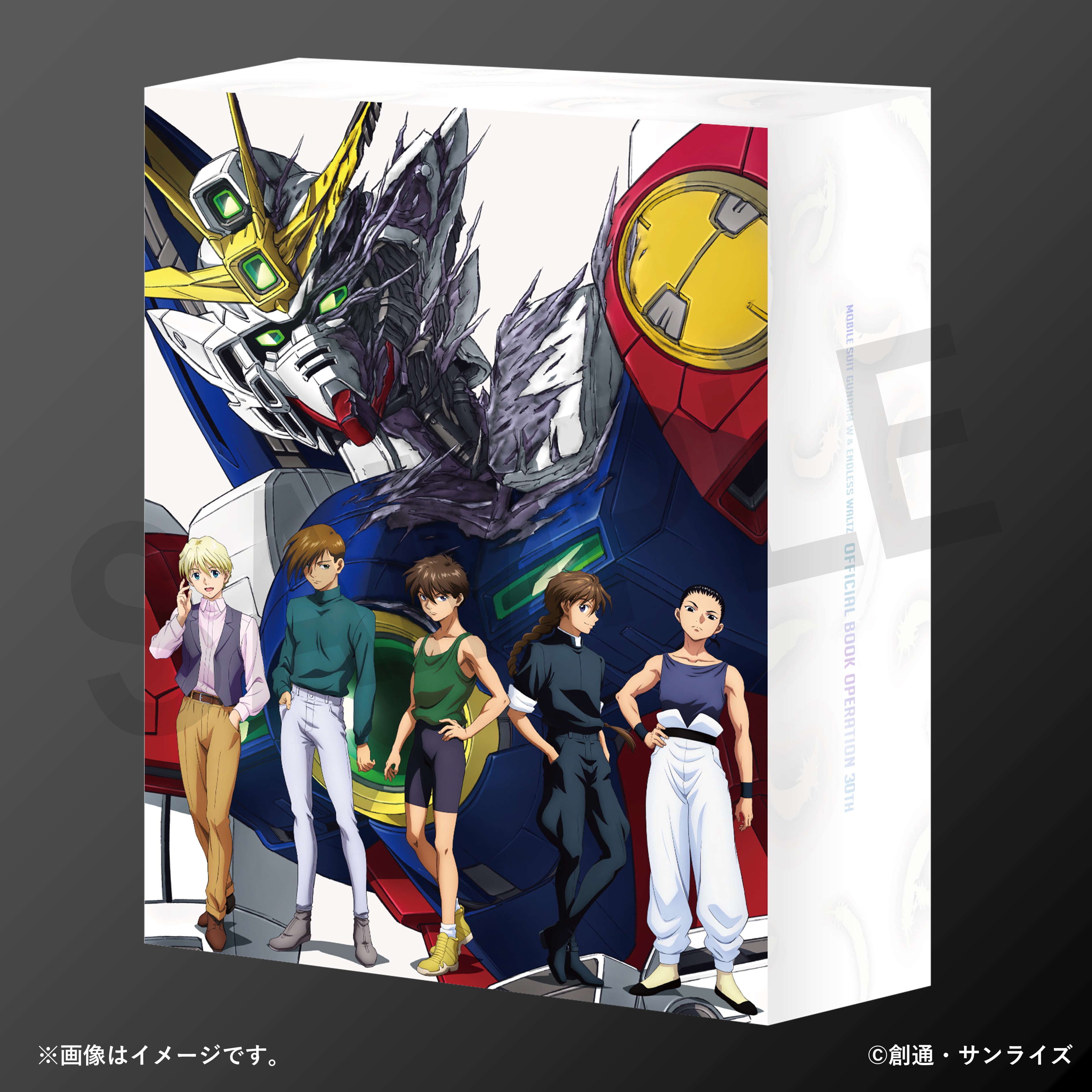 GUNDAM-W 、ENDLESS WALTZ　ＬDセット MG Mobile Suit Gundam Wing Endless Waltz Wing Gundam Zero EW