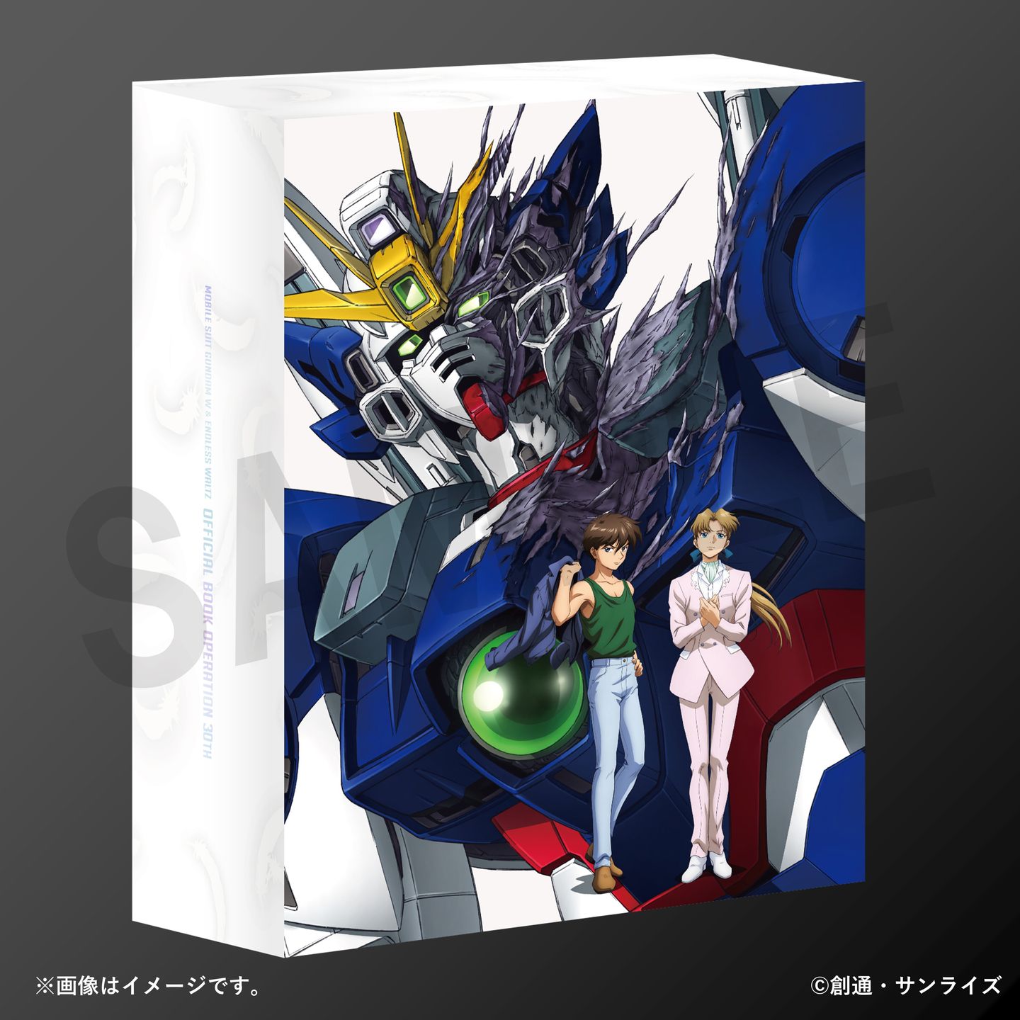 Bandai Master Grade MG 1/100 Mobile Suit Gundam XXXG-01W Wing Gundam EW