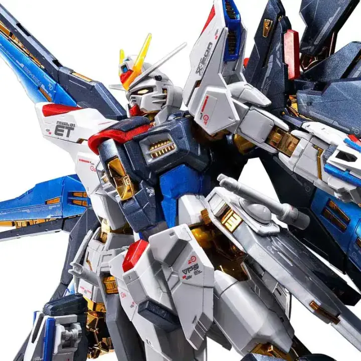 RG 1/144 STRIKE FREEDOM GUNDAM[TITANIUM FINISH] | GUNDAM | PREMIUM