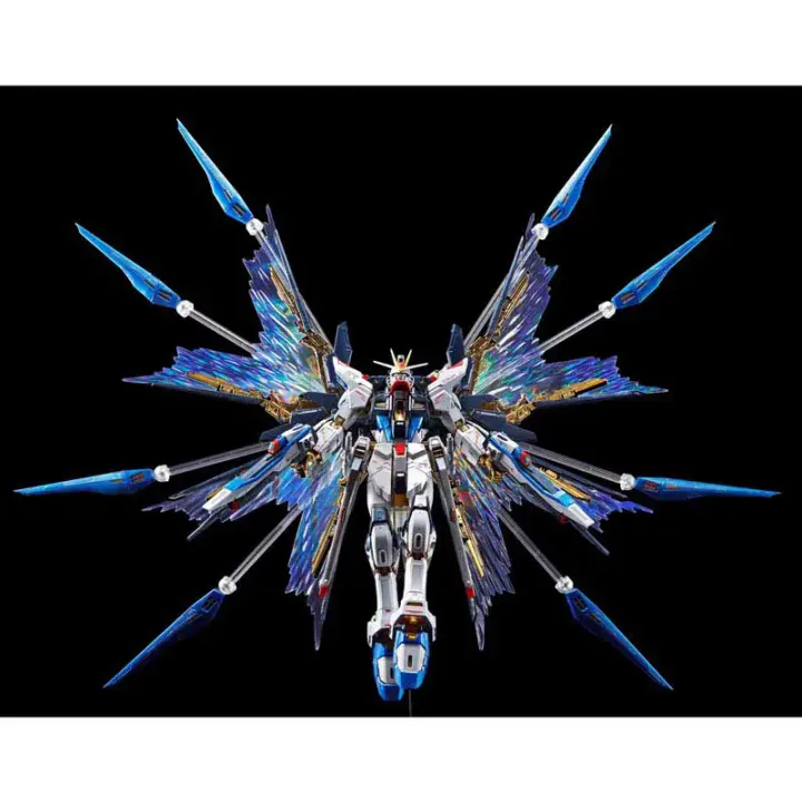 RG 1/144 STRIKE FREEDOM GUNDAM[TITANIUM FINISH] | GUNDAM | PREMIUM