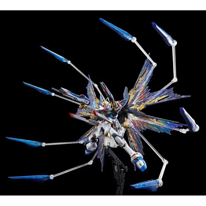 RG 1/144 STRIKE FREEDOM GUNDAM[TITANIUM FINISH] | GUNDAM | PREMIUM