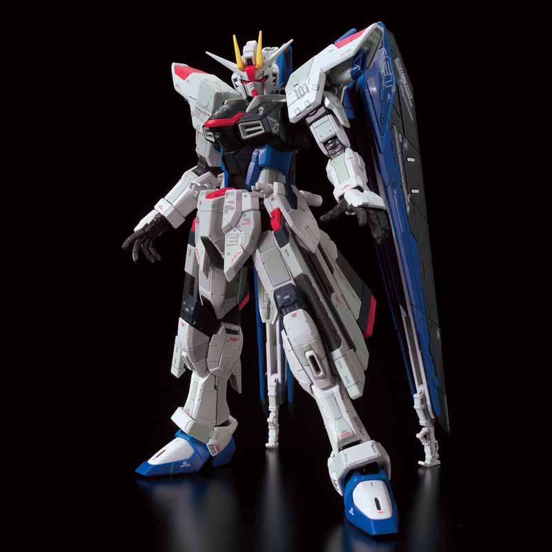 RG 1/144 ZGMF-X10A フリーダムガンダム ver.GCP RG 1/144 THE GUNDAM BASE LIMITED ZGMF-X10A FREEDOM GUNDAM
