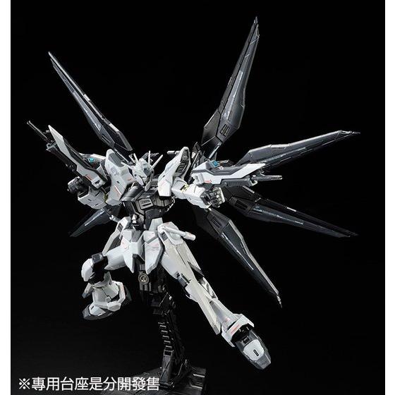 RG 1/144 STRIKE FREEDOM GUNDAM DEACTIVE MODE | GUNDAM | PREMIUM
