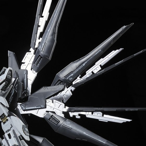 RG 1/144 STRIKE FREEDOM GUNDAM DEACTIVE MODE | GUNDAM RG 1/144 STRIKE FREEDOM GUNDAM DEACTIVE MODE | GUNDAM