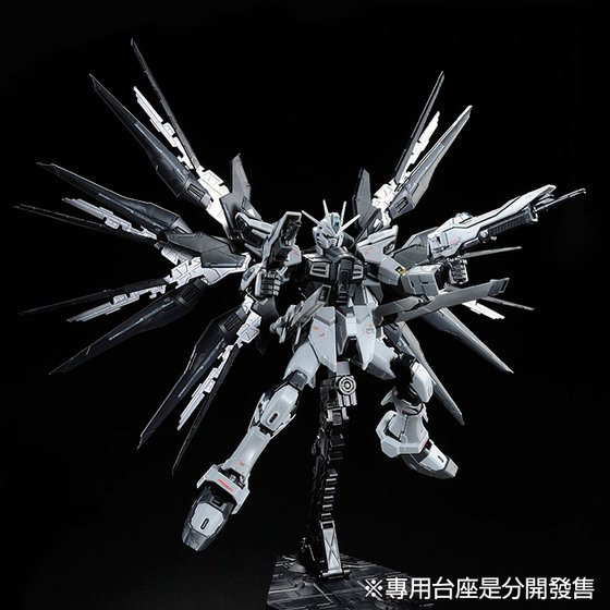 RG 1/144 STRIKE FREEDOM GUNDAM DEACTIVE MODE | GUNDAM | PREMIUM