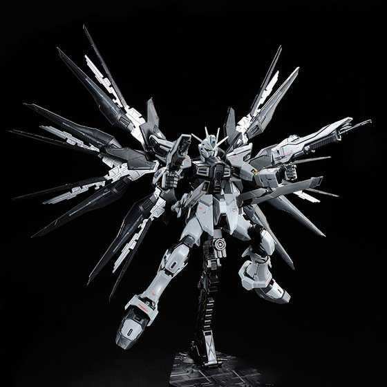 RG 1/144 STRIKE FREEDOM GUNDAM DEACTIVE MODE | GUNDAM | PREMIUM