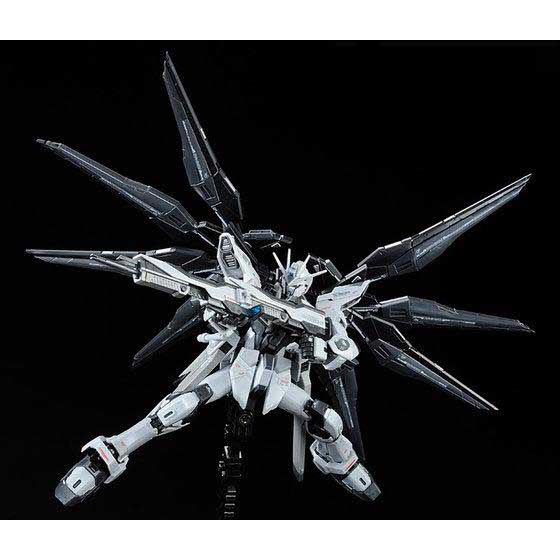 RG 1/144 STRIKE FREEDOM GUNDAM DEACTIVE MODE | GUNDAM | PREMIUM