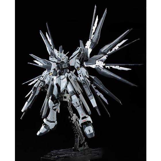 RG 1/144 STRIKE FREEDOM GUNDAM DEACTIVE MODE | GUNDAM | PREMIUM