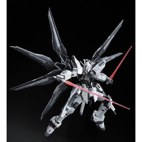 RG 1/144 STRIKE FREEDOM GUNDAM DEACTIVE MODE | GUNDAM | PREMIUM