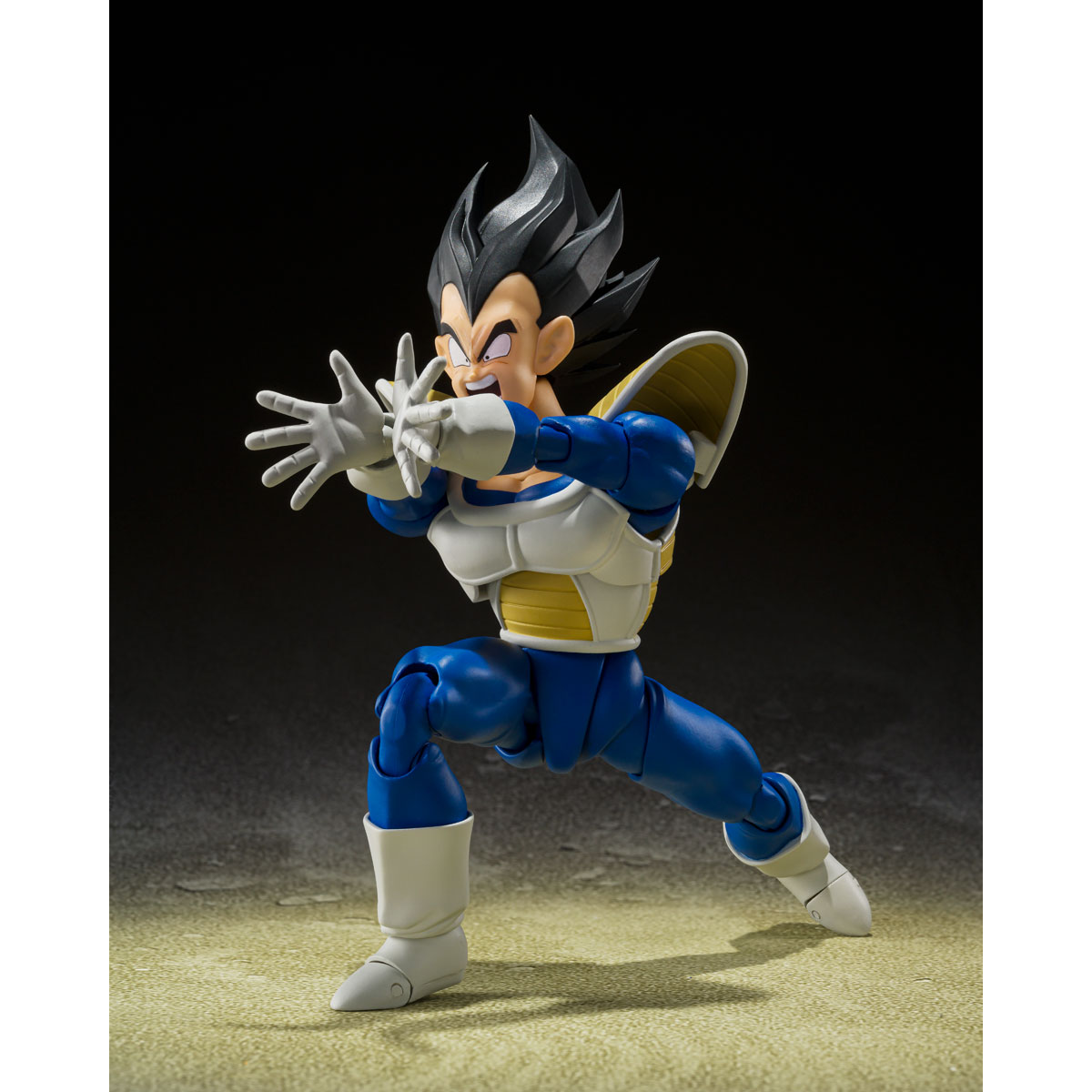 S.H.Figuarts VEGETA -24000 POWER LEVEL- | DRAGON BALL | PREMIUM