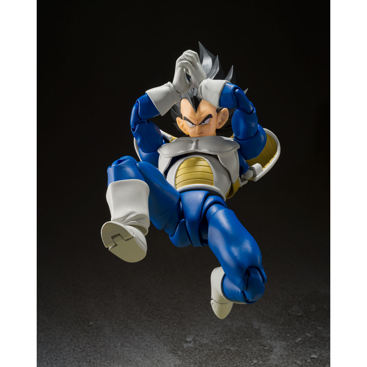 S.H.Figuarts VEGETA -24000 POWER LEVEL- | DRAGON BALL | PREMIUM