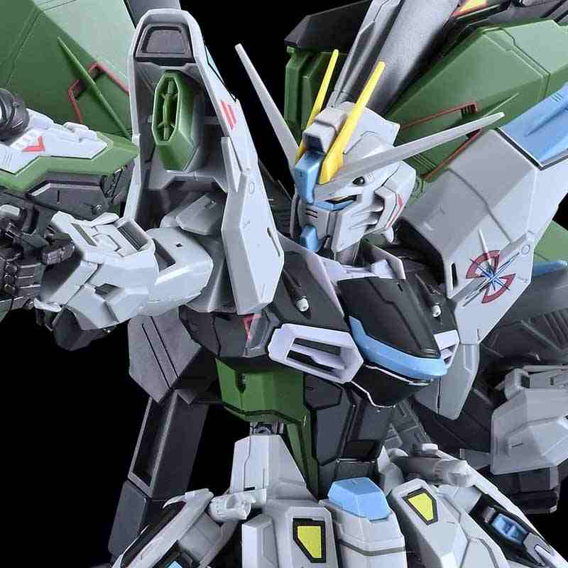 GUNDAM NEXT FUTURE LIMITED MG 1/100 FREEDOM GUNDAM Ver.2.0 (REAL