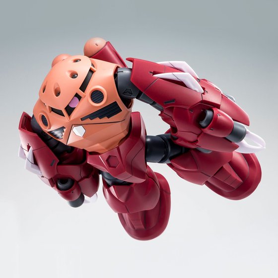 HG 1/144 AMAZING Z'GOK | GUNDAM | PREMIUM BANDAI USA [Official