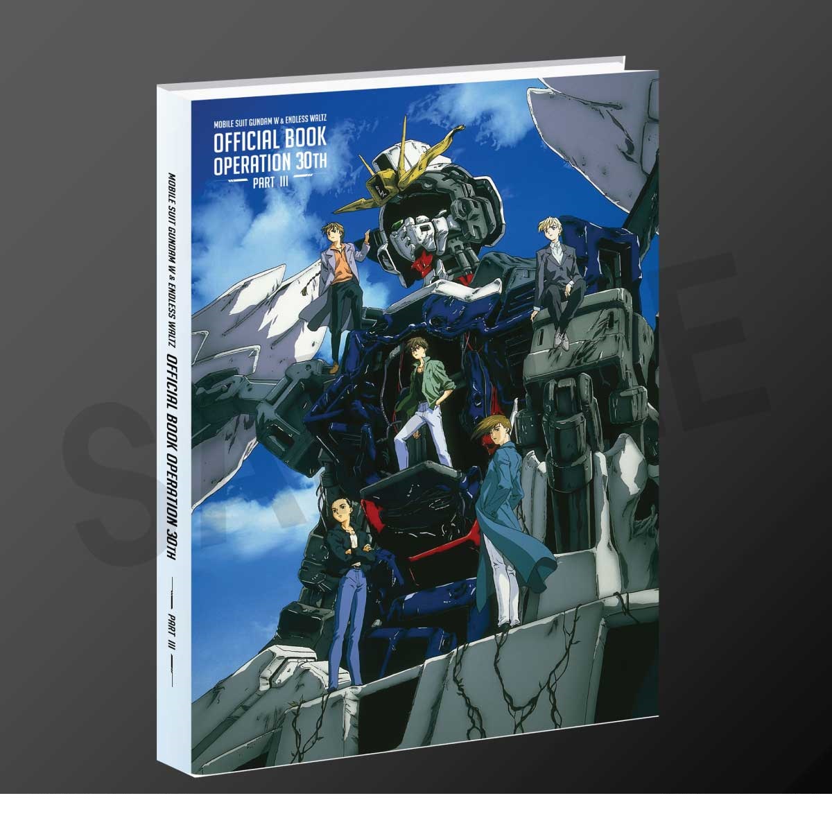 GUNDAM-W 、ENDLESS WALTZ　ＬDセット GUNDAM-W 、ENDLESS WALTZ LDセット