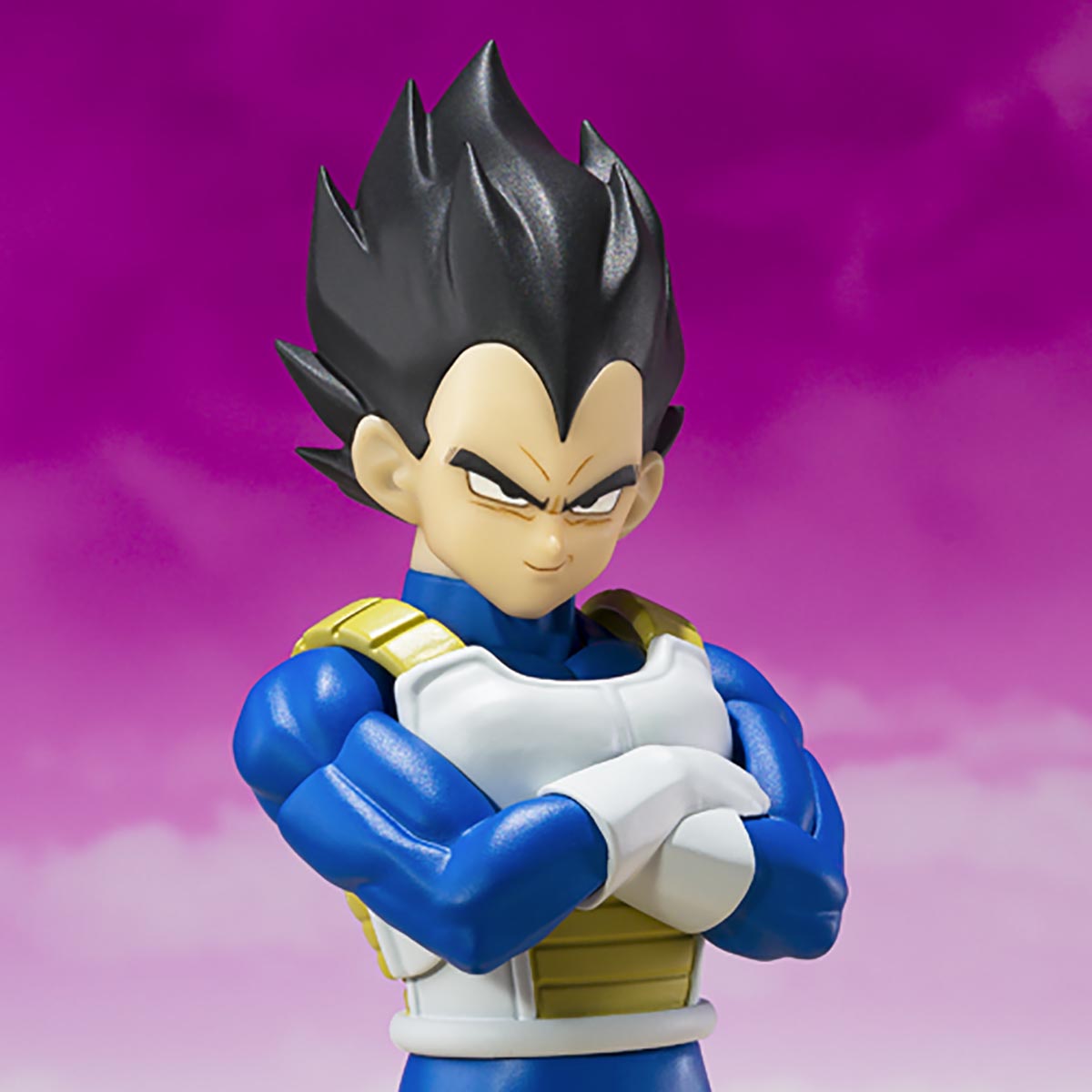 S.H.Figuarts Super Saiyan VEGETA-Premium Color Edition-. New