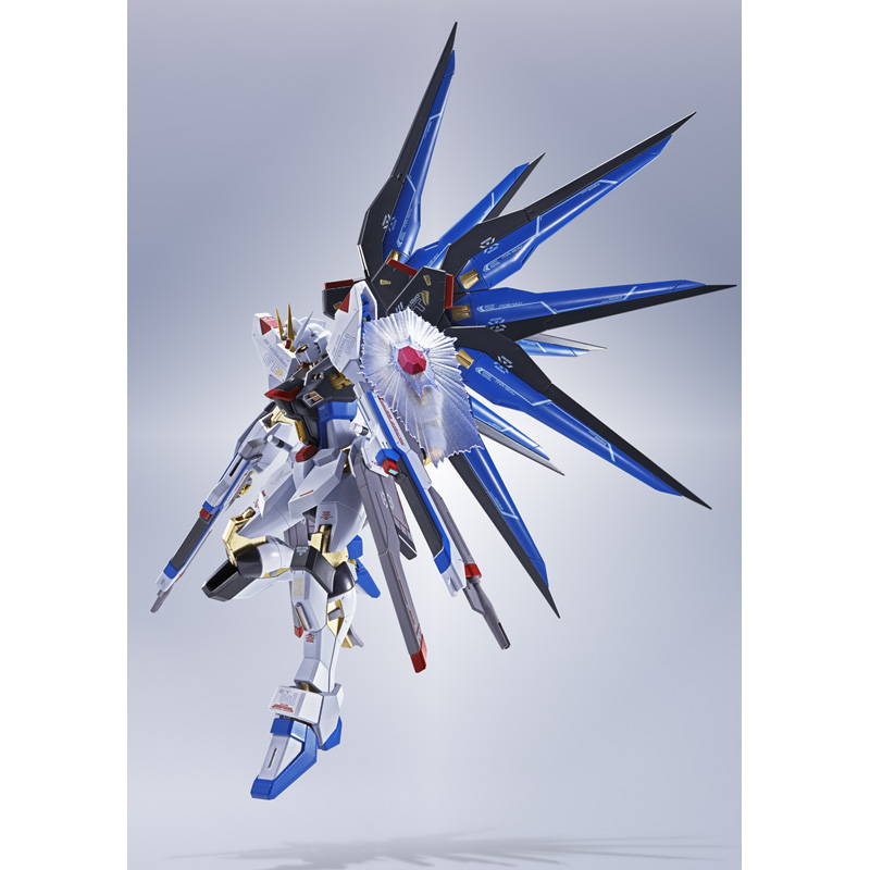 BANDAI メタルロボット魂 STRIKE FREEDOM GUNDAM METAL ROBOT SPIRITS <SIDE MS> STRIKE FREEDOM GUNDAM [Re:Coordinate