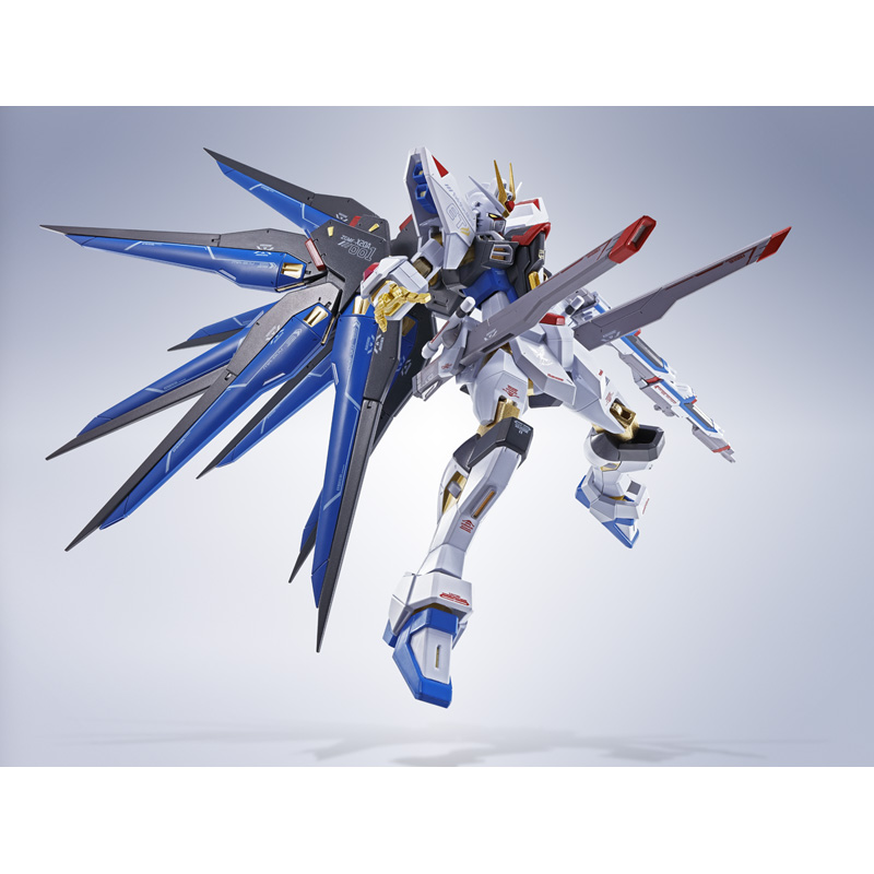 METAL ROBOT SPIRITS <SIDE MS> STRIKE FREEDOM GUNDAM [Re:Coordinate