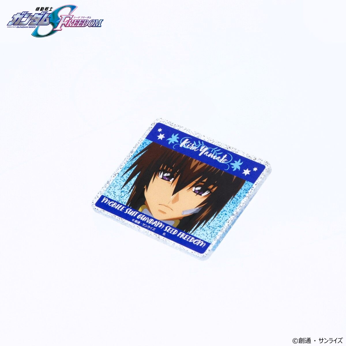 Mobile Suit Gundam SEED FREEDOM Kira & Cagalli Birthday Series