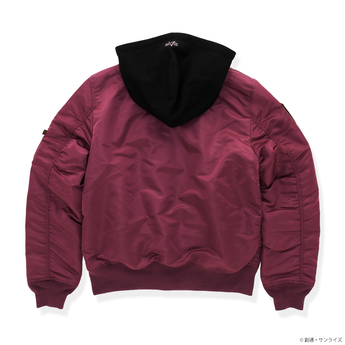 STRICT-G x ALPHA Mobile Suit Gundam SEED FREEDOM ATHRUN ZALA MODEL