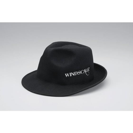 WIND SCALE Hat Felt for adult [May 2014 Delivery]