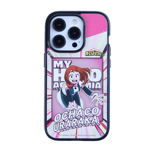 MY HERO ACADEMIA STYLE D