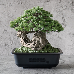 SRL X BANDAI SPIRITS . BONSAI MODEL KIT [2025年4月發送