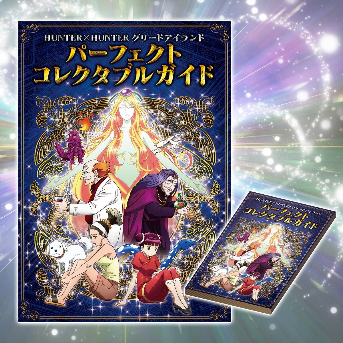 Bandai HUNTER x HUNTER Carddass Premium Edition limited JAPAN FS