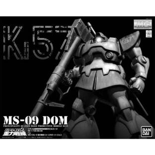 【C3 AFA 2017 Online Campaign 2.0】MG 1/100 MS-09 DOM (THE GRAVITY FRONT IMAGE COLOR Ver.)