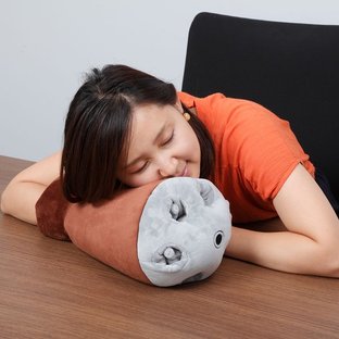 ARM CUSHION ACGUY [April 2018 Delivery]