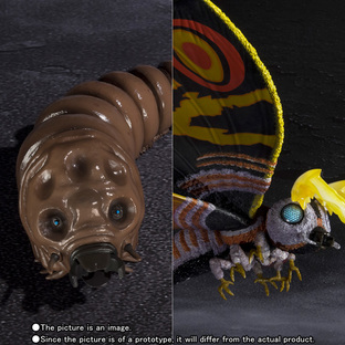 S.H.MonsterArts MOTHRA（Adult form）& MOTHRA（Larval form） Special Color Ver.