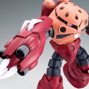 HG 1/144 AMAZING Z'GOK [Feb 2025 Delivery]