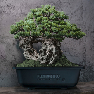 SRL X BANDAI SPIRITS . BONSAI MODEL KIT [Apr 2025 Delivery]