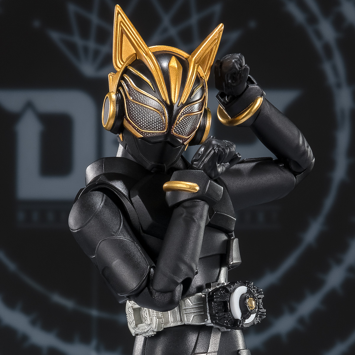 S.H.Figuarts KAMEN RIDER NA-GO ENTRY RAISE FORM & ENTRY RAISE SET