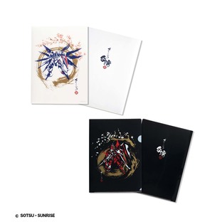 STRICT-G TAIWAN Original Clear File (1 set of 2)