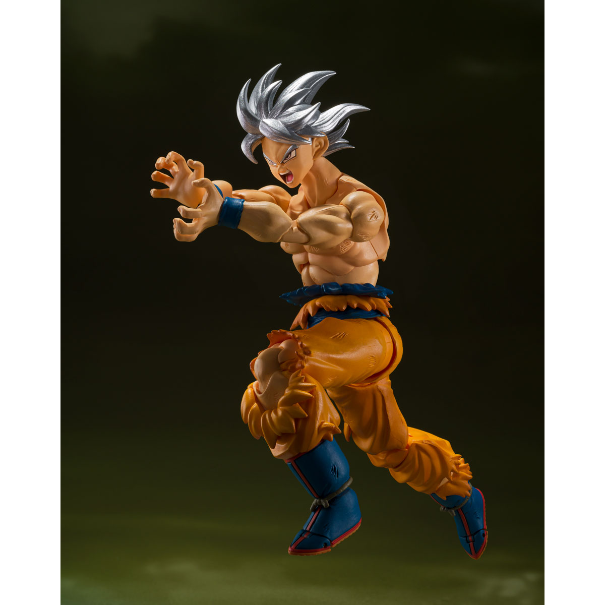  Tamashi Nations - Dragon Ball Z - Super Saiyan Full Power Son  Goku,Bandai Spirits S.H.Figuarts : Toys & Games