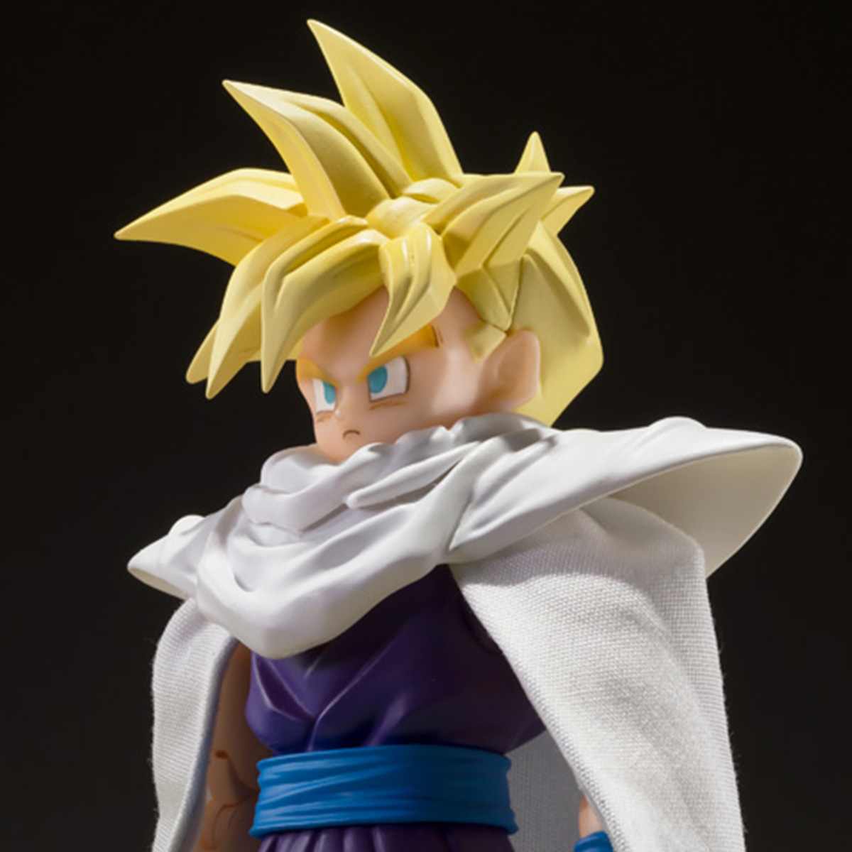 S.H.Figuarts SUPER SAIYAN SON GOHAN -THE WARRIOR WHO S.H.Figuarts SUPER SAIYAN SON GOHAN -THE WARRIOR WHO