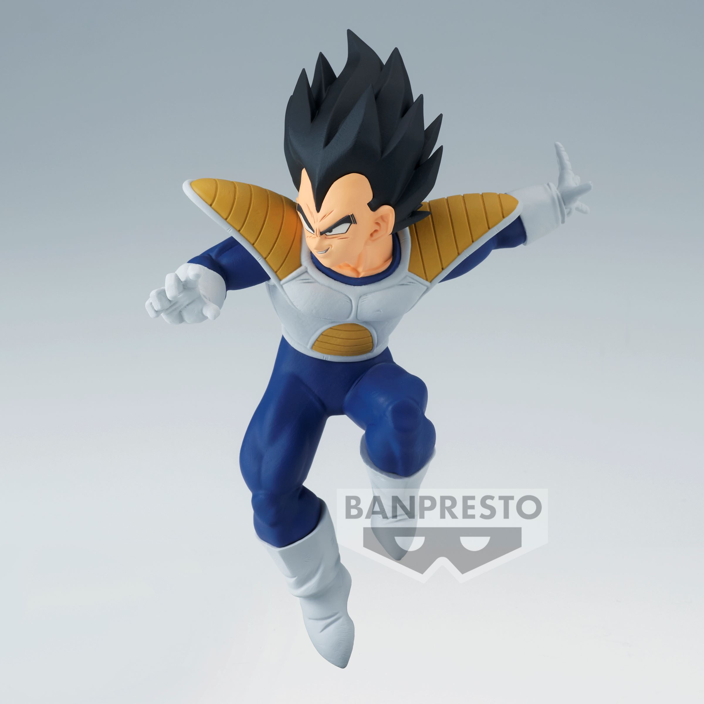 Vegeta's 1 Saiyan World