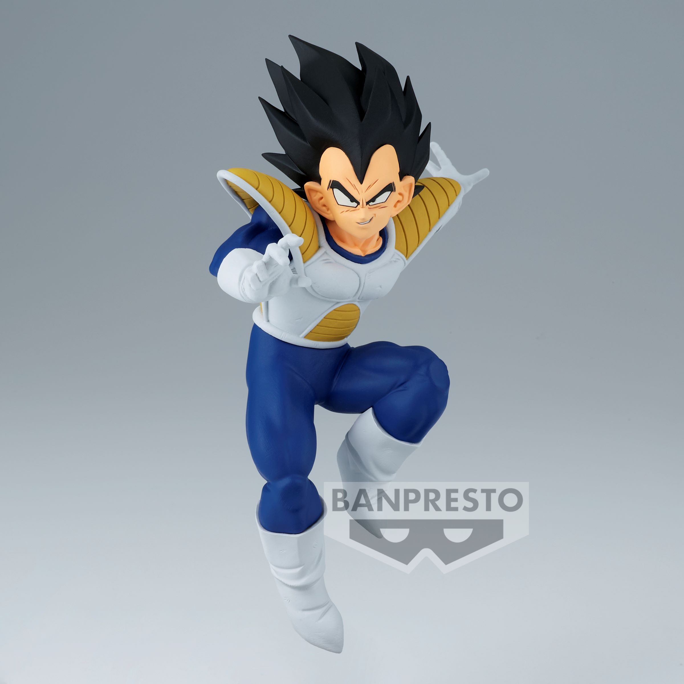 Vegeta's 1 Saiyan World